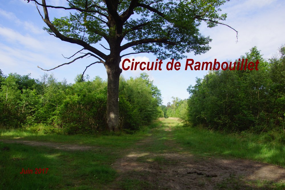 En forêt de Rambouillet